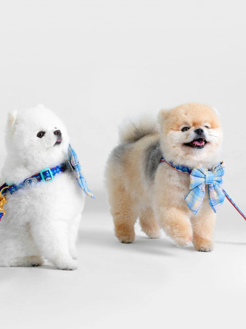 The Wagging Blue Sailor Dog Bow | Classic Collection