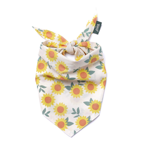 Dog Bandana - Cullipher