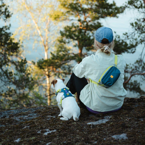 Alpha 360 Hip Pack Deep Teal