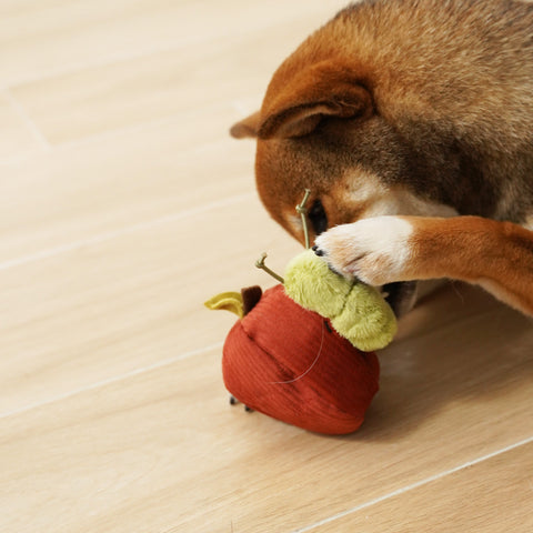 Apple Crinkly + Burrow Dog Toy