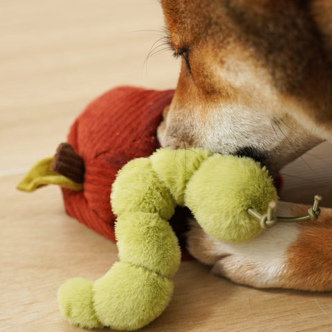 Apple Crinkly + Burrow Dog Toy