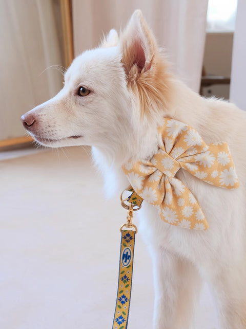 The Wagging Blue Sailor Dog Bow | Spring Collection