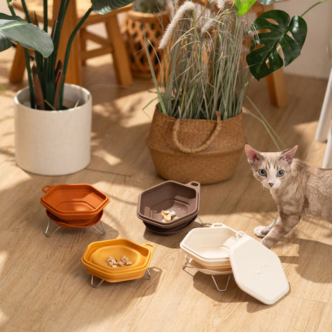 Pettellyava Dinon Portable Pet Bowl