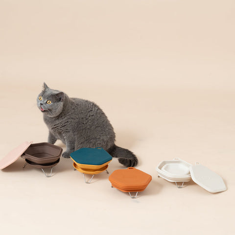 Pettellyava Dinon Portable Pet Bowl