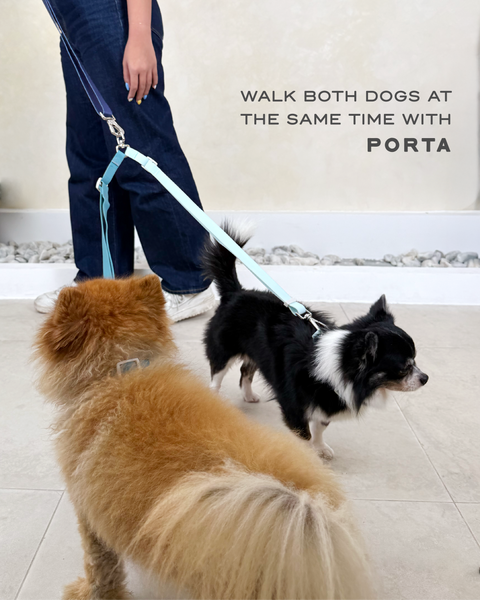 Dual Leash