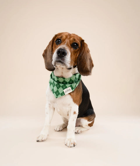 Dog Bandana - Dublin