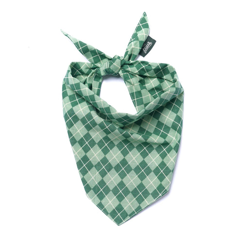 Dog Bandana - Dublin