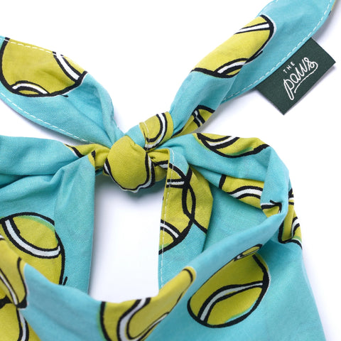 Dog Bandana - Fetch Dog