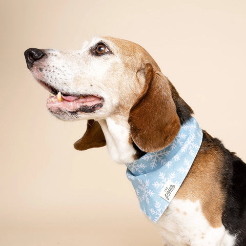 Dog Bandana - Frozen