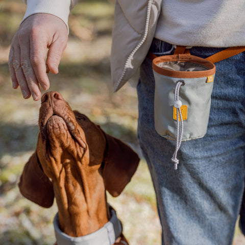 Woolly Wolf Alpha 360 Snack Bag