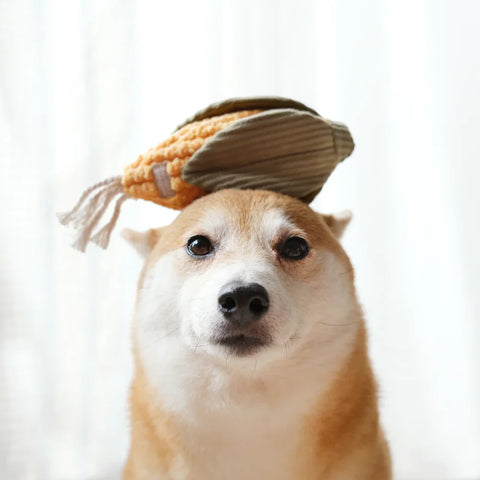 CORN snuffle toy
