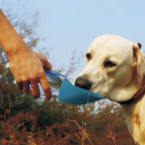 Expandable Silicon Pet Travel Water Bottle