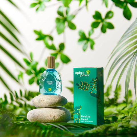 Healthy Heart (Droplet)