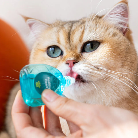 Healthy Heart (Droplet)