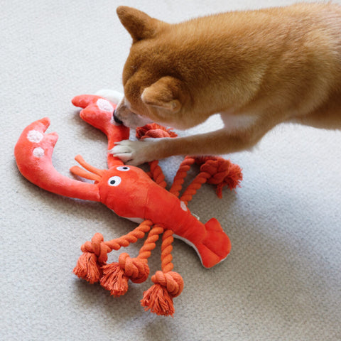 Lobster Dog Rope Toy