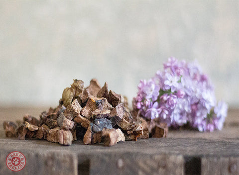 Fit&Fun Training Snacks