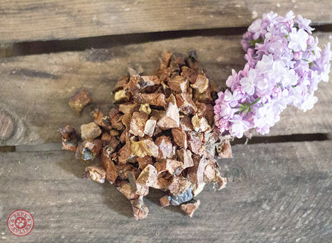 Fit&Fun Training Snacks