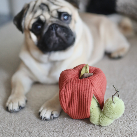 Apple Crinkly + Burrow Dog Toy