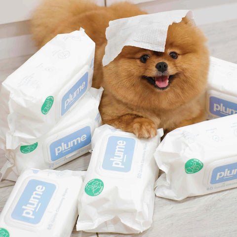 Gentle Cleansing Wet Wipes