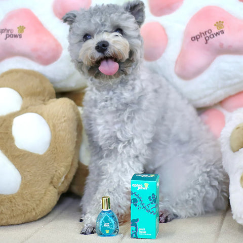 Joint Relief (Droplet)