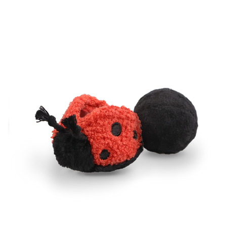 Lady Bug POP