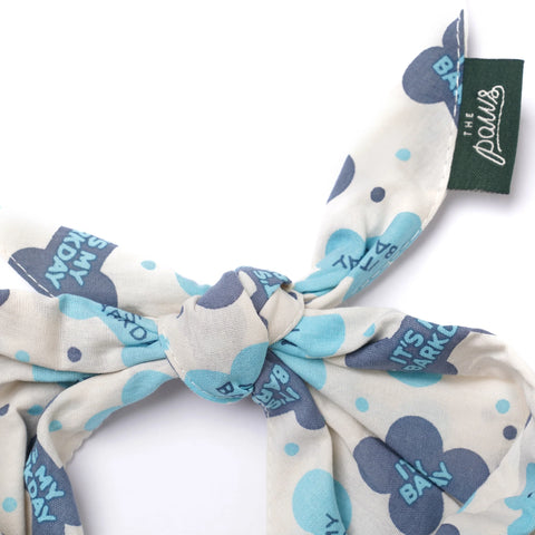Dog Bandana - Let's Pawty Blue