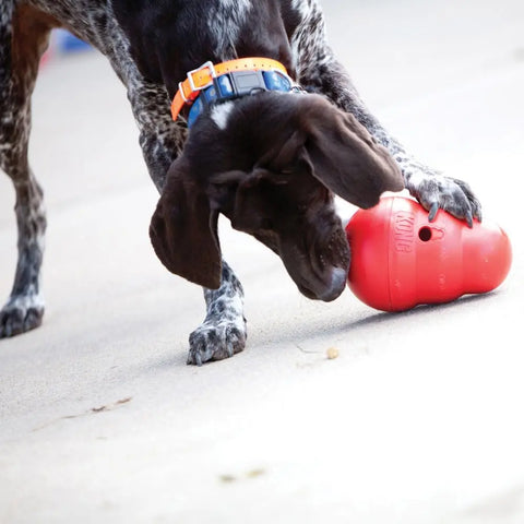 Wobbler - Treat Dispenser Toy