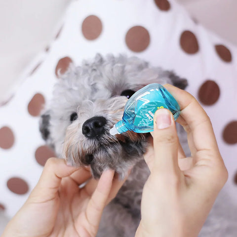 Liver Detox (Droplet)