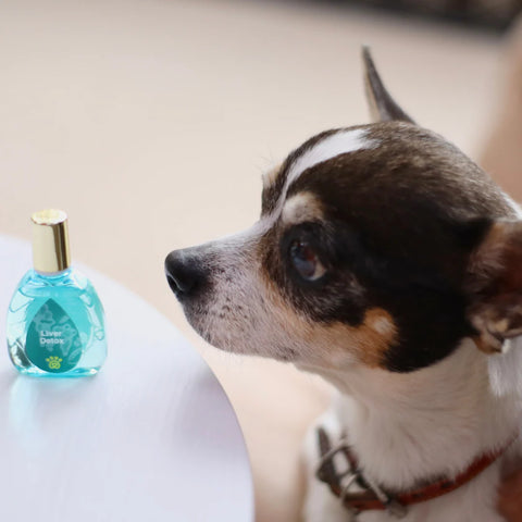 Liver Detox (Droplet)