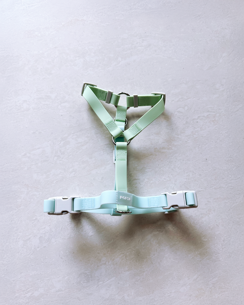 Aqua Glow Harness