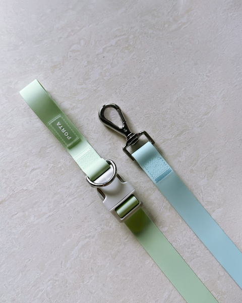 Aqua Leash