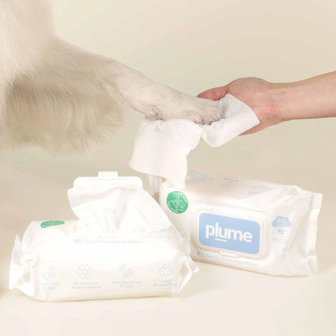 Gentle Cleansing Wet Wipes