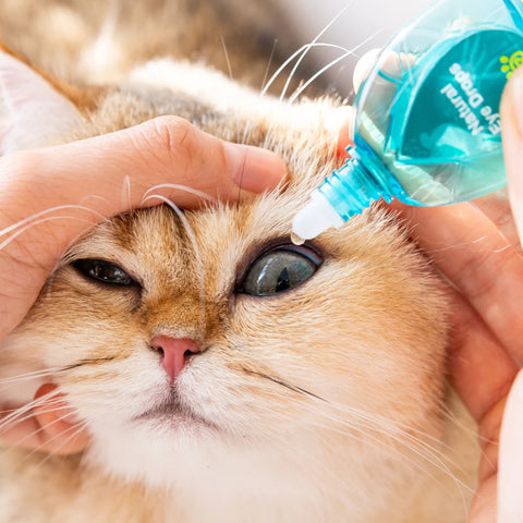 Natural Eye Drops
