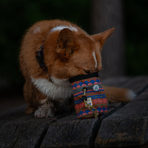 Woolly Wolf Nightless Night Dog Snack Bag