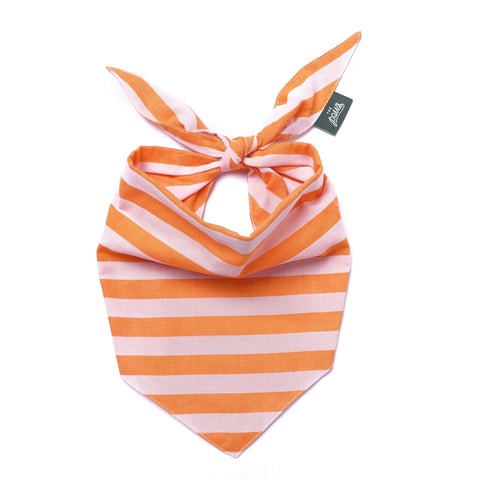 Dog Bandana - Nusa