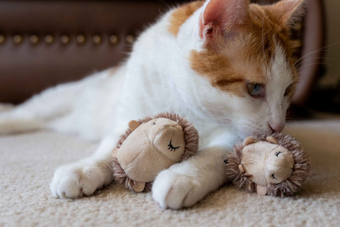 Feline Frenzy - Mama and Chip Toy Set