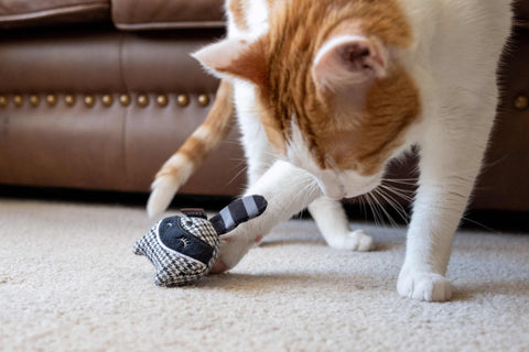 Feline Frenzy - Bandit Buddies Toy Set