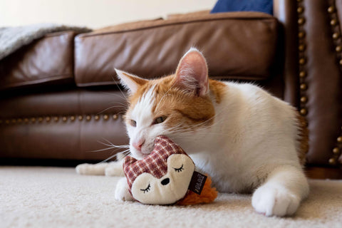 Feline Frenzy - Foxsy & Hopsy Toy Set