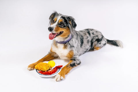 Dog Plush Toy - IHOP - Eggcellent Play Platter