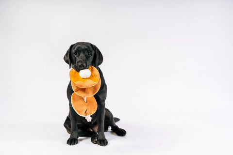 Dog Plush Toy - IHOP - Pancake Pup Stack