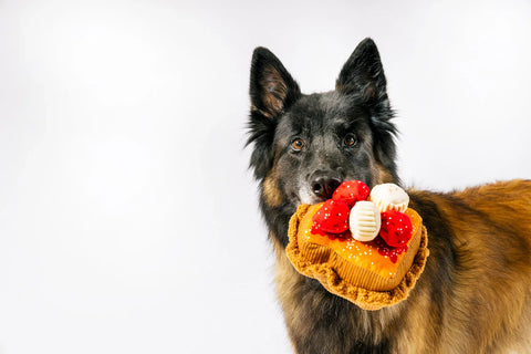 Dog Plush Toy - IHOP - Thick 'N Fluffy French Toast