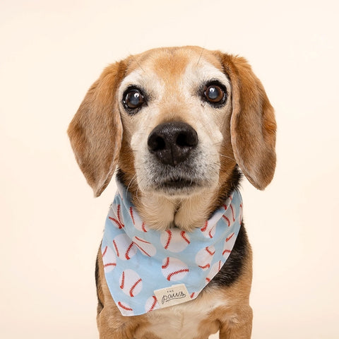 Dog Bandana - Home Run