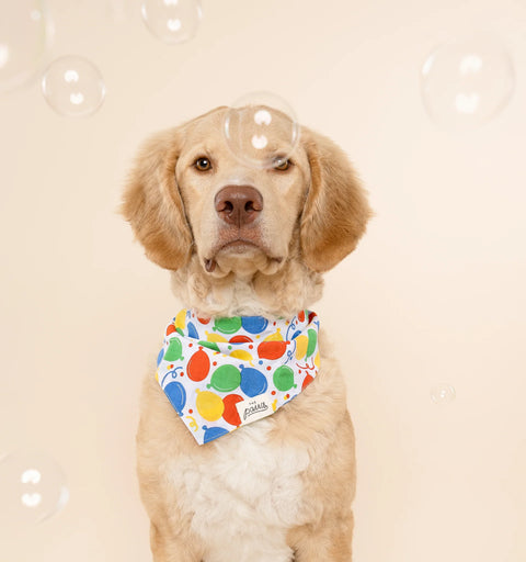 Dog Bandana - Party Animal