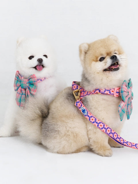 The Wagging Blue Sailor Dog Bow | Classic Collection
