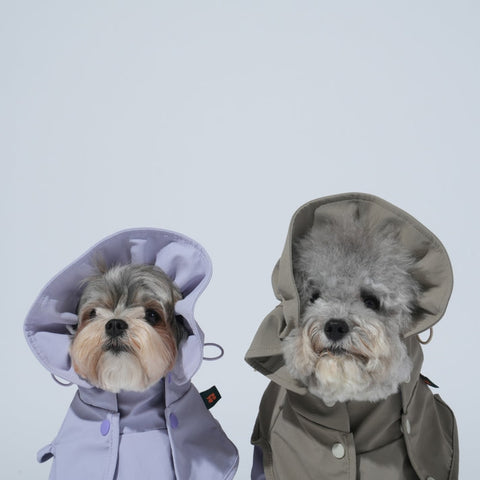 Puppy Gallery GO Pro Weather Snood Dog Rain Snood