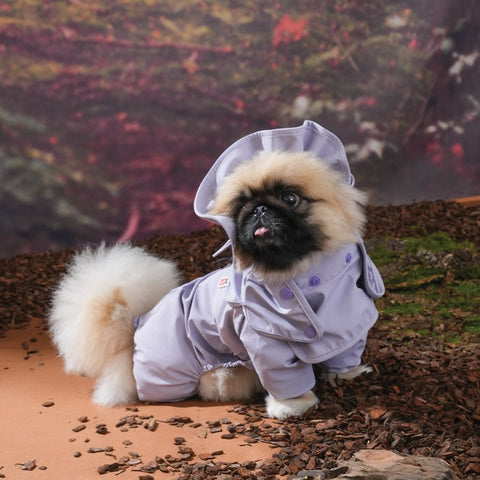 Puppy Gallery GO Pro Weather Suit Dog Rain Suit