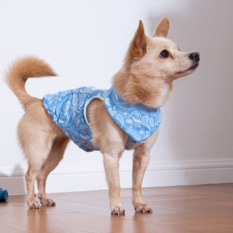 Puppy Gallery Paisley Lover Cooling Bandana