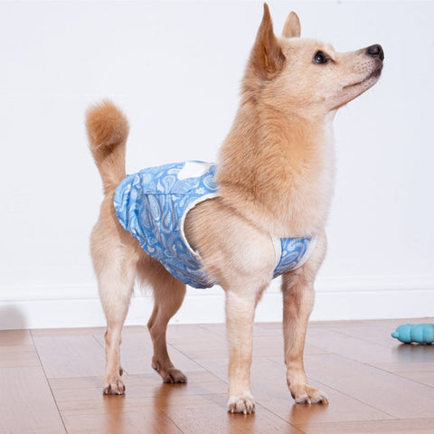 Puppy Gallery Paisley Lover Pet Cooling Tank Top