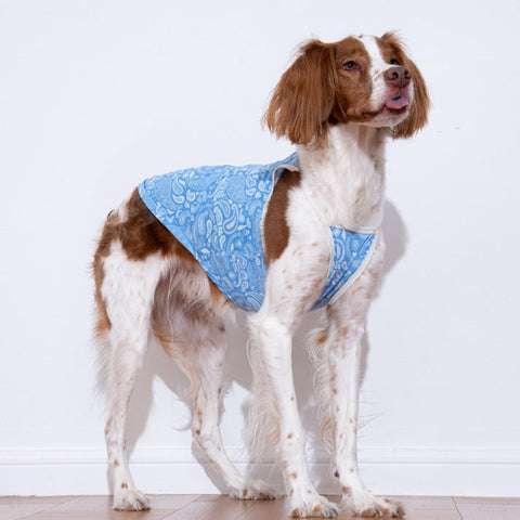 Puppy Gallery Paisley Lover Pet Cooling Tank Top