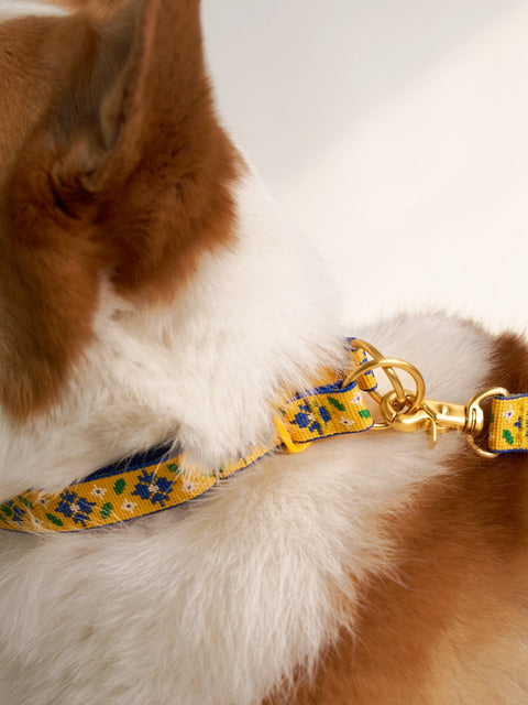 The Wagging Blue Signature Collar